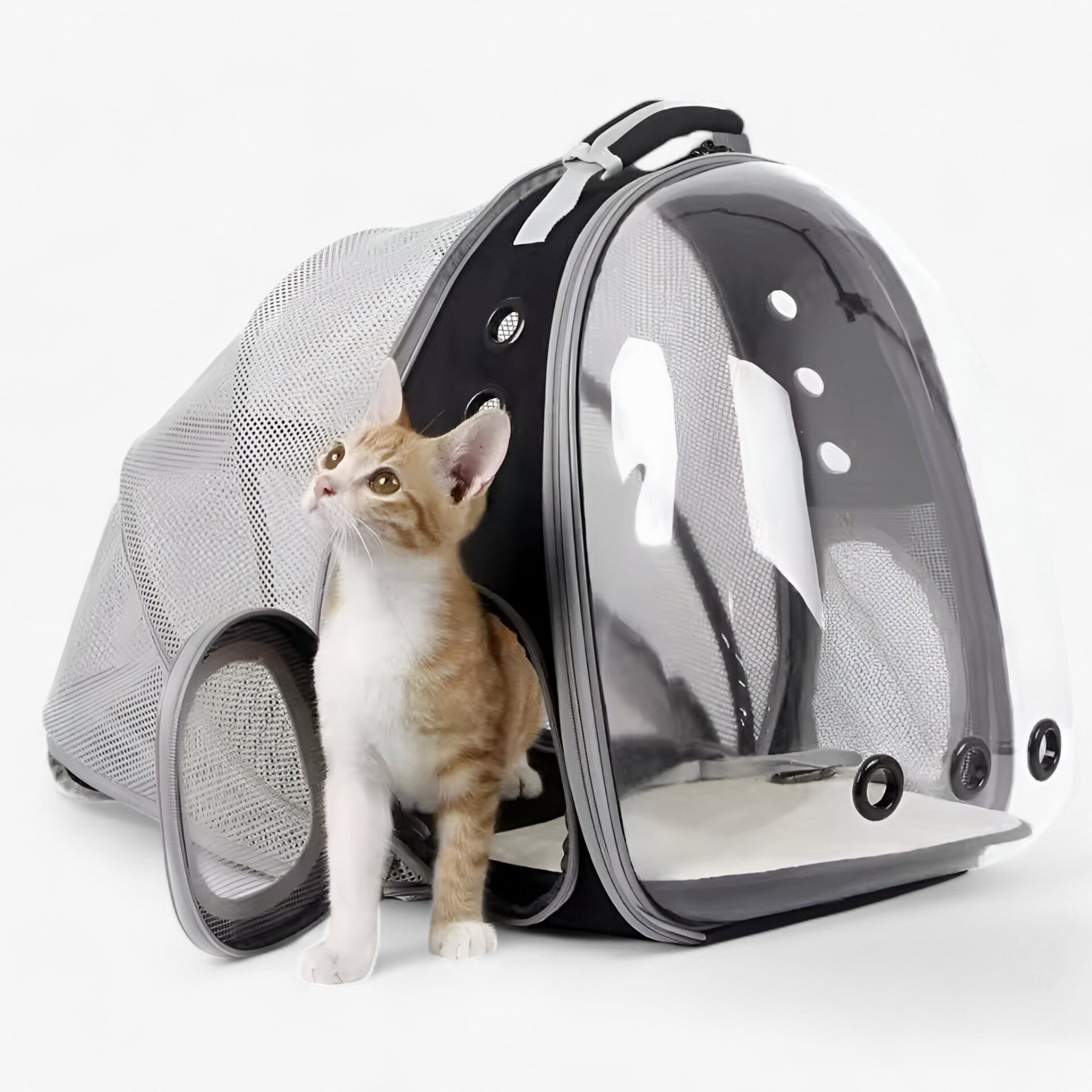 pets : Ruimtelijke Kattenrugzak met Astronautenthema en Bolle Venster - Zwart in van Pantino