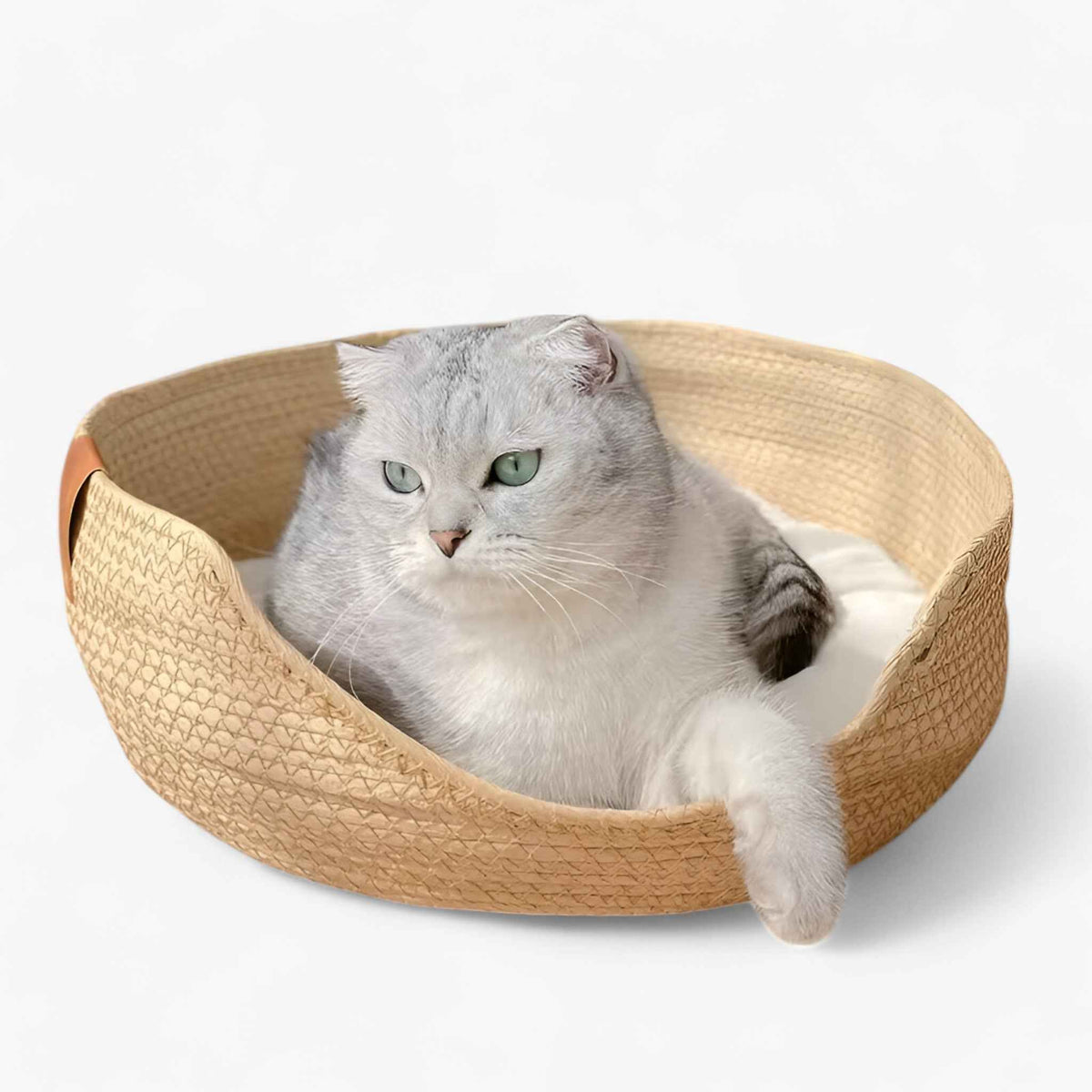 Pets & Supplies : Ecologisch Huisdierenbed van Handgevlochten Bamboe voor Honden en Katten, Natuurlijk en Duurzaam in van Pantinoshop