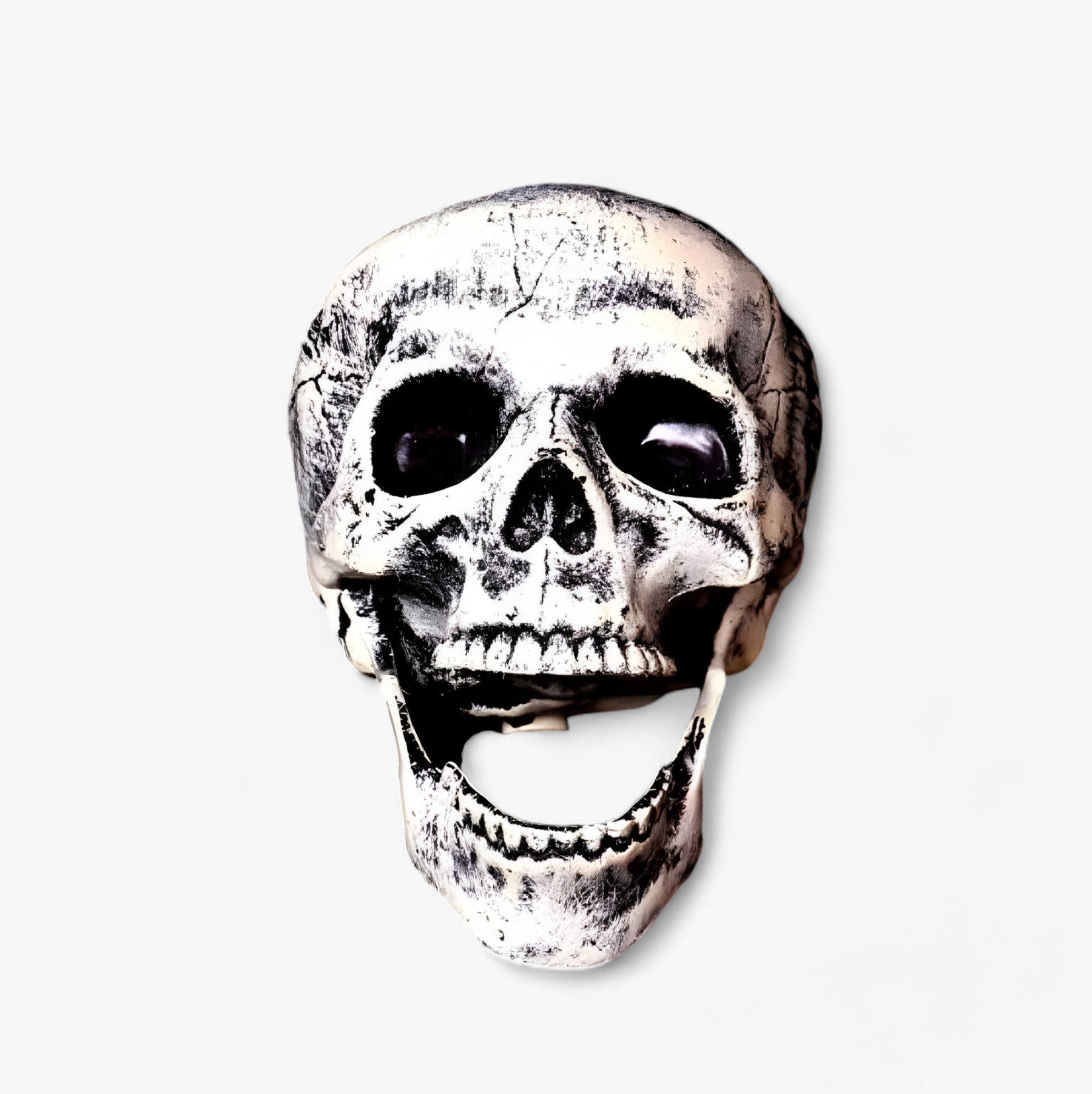 home & garden : Angstaanjagende Halloween Decoratie - Skelet, Botten en Mensenhoofd voor een Verschrikelijke Feest in van Pantino