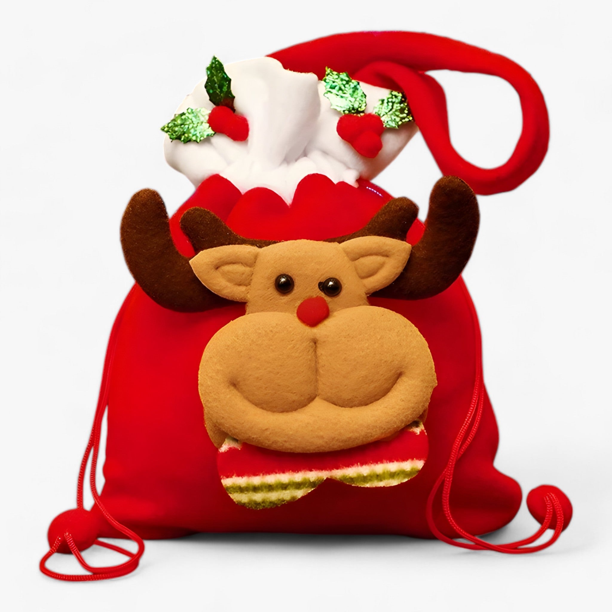 bags : KerstBeer - Kerstcadeauzakjes - Perfect voor het Bewaren van Uw Feestelijke Cadeaus en Snoepjes in Hert B 10 STUKS van Pantino