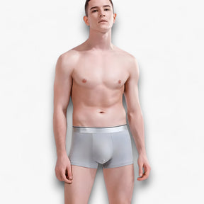 Boxer Briefs : Ademende Boxershorts - Sexy en Comfortabel - 2 Zwart in van Pantino