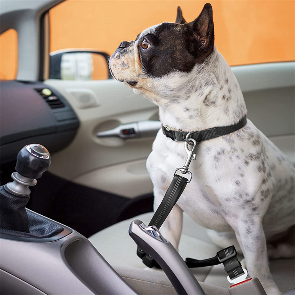 pets : PetGuard Belt - Reis Veilig met Jouw Hond - Zwart in van Pantino