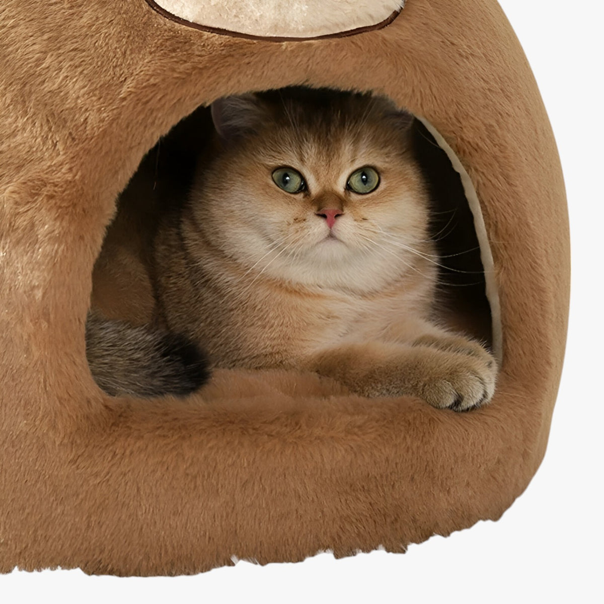 pets : Hoepel Kattenbed - Warm, Knus en Beschut Nest in van Pantino