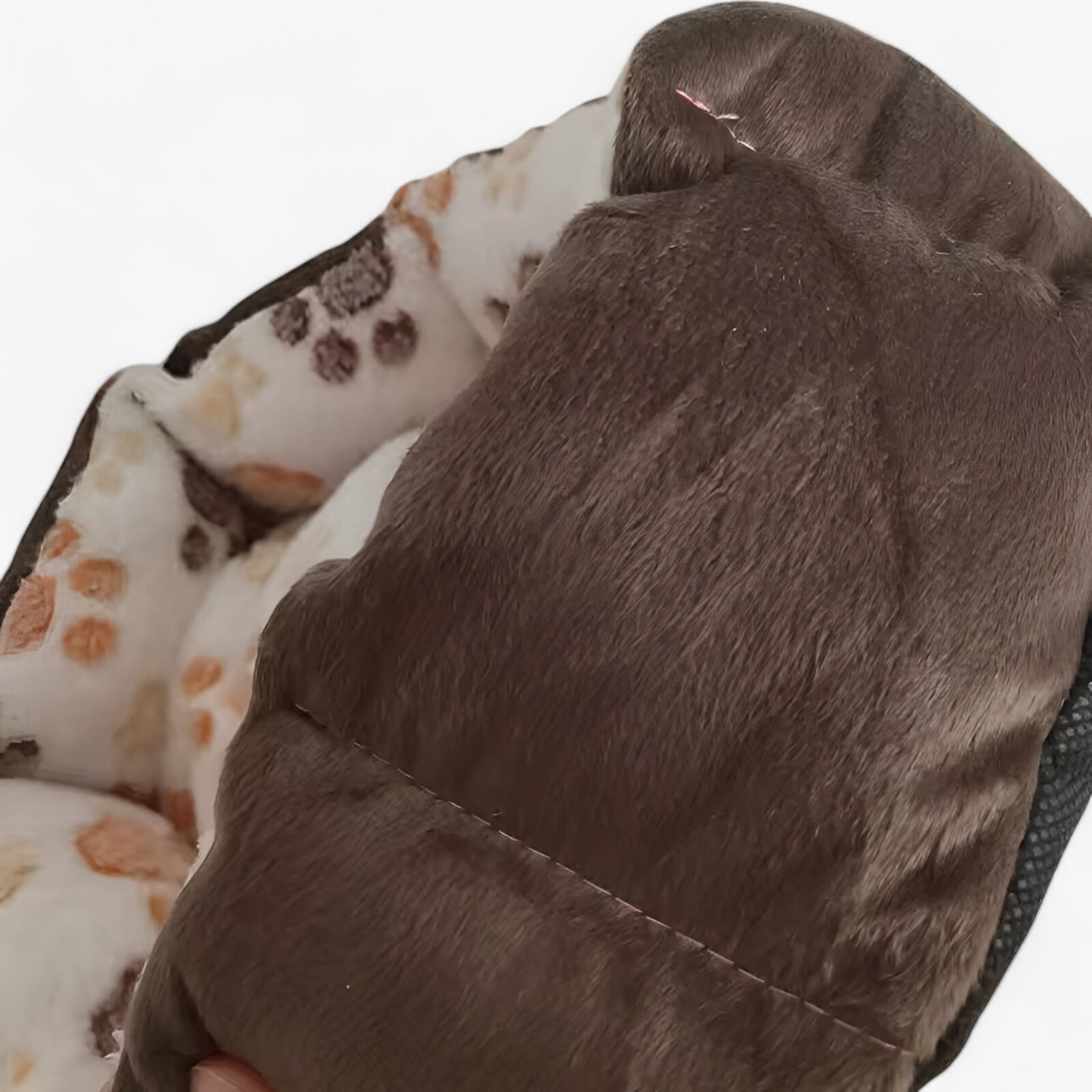 pets : Bowie Bed - Zachte Pluche Hondenmand in van Pantino