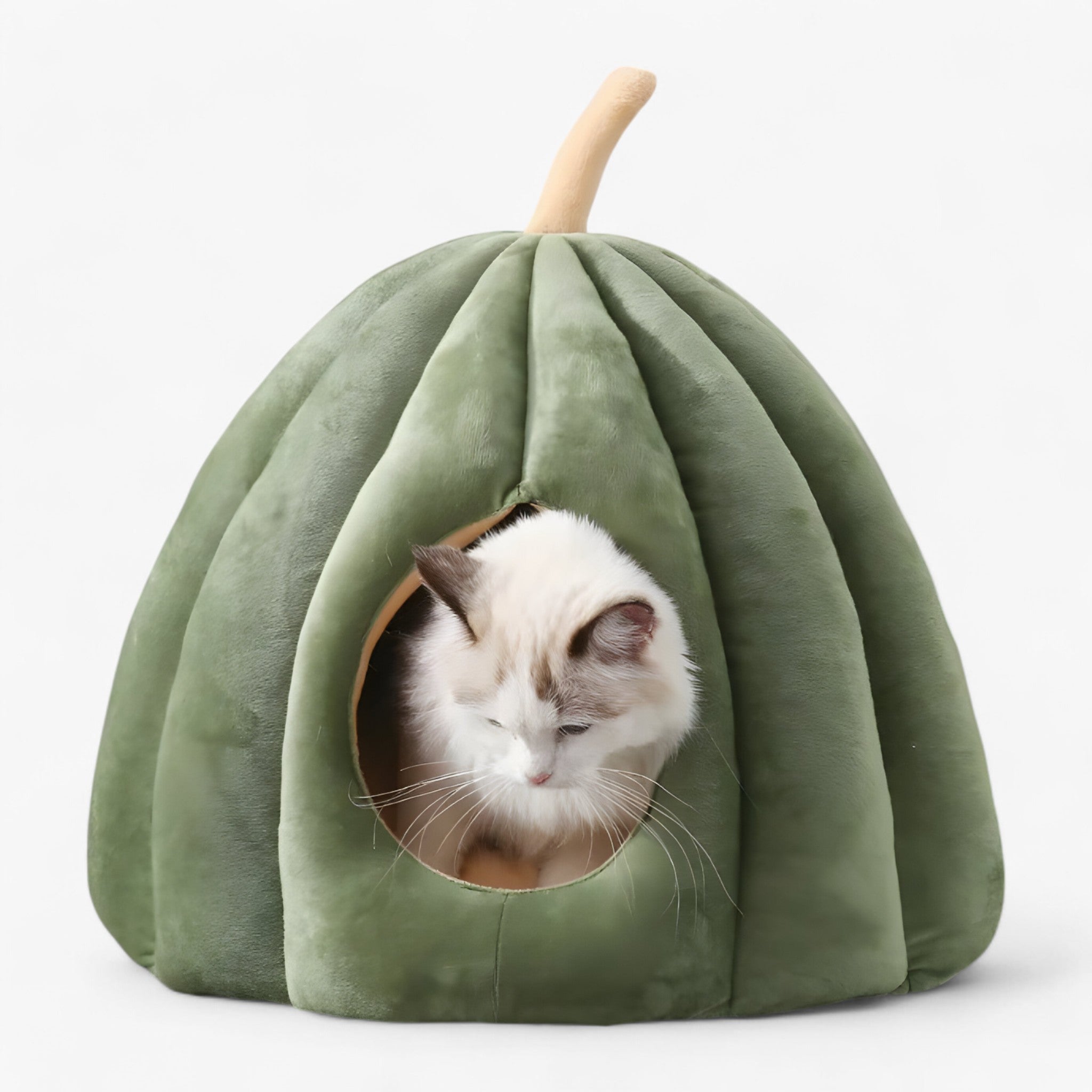 pets : PumpkinNest - Huisdierenbed - Wintercomfort Fluweel in Groen 50x50x40cm(onder 8kg 17.6lb) van Pantino