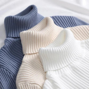 Sweater : Sweater Khaki - Helia Turtleneck with Cashmere in van Pantino