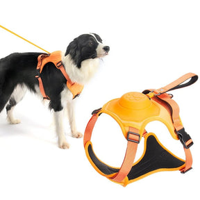 pets : WalkLine - Ontspan, Loop en Connect Veilig - Zwart in van Pantino