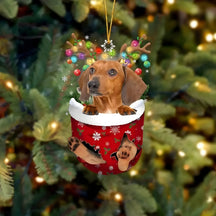 pets : Schattige Pupp Decoratie - Kerstboom Hangertje Hond - Feestelijke Charme en Cadeau voor Hondenliefhebbers in Stijl F van Pantino
