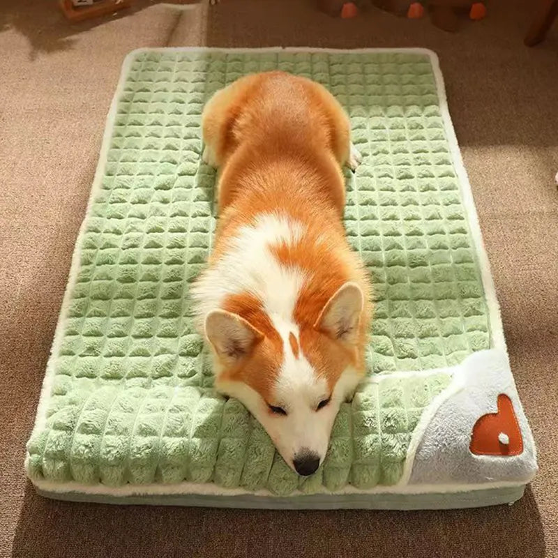 pets : ComfyPet - Gun Je Huisdier het Beste - Groen in van Pantino