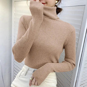 Sweater : Sweater Khaki - Helia Turtleneck with Cashmere in KHAKI One Size (40-60kg) van Pantino
