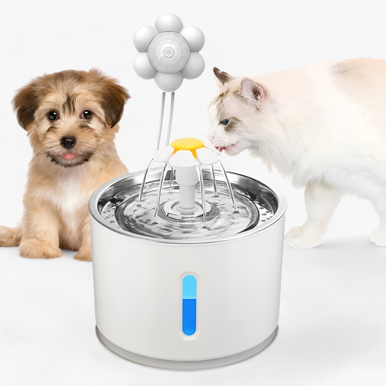 pets : Automatische Waterdispenser - Gefilterd Vers Water voor Huisdieren - Blauw Zonder Sensor in van Pantino