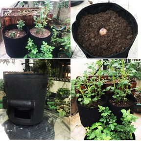 home & garden : Kweekpot Kunststof Bruin 10L voor Groenten, Kruiden & Moestuin - Ideaal voor Balkon in van Pantino