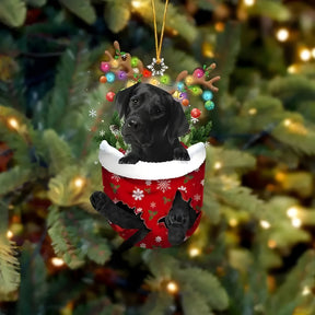 pets : Schattige Pupp Decoratie - Kerstboom Hangertje Hond - Feestelijke Charme en Cadeau voor Hondenliefhebbers in Stijl B van Pantino