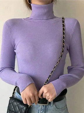 Sweater : Sweater Khaki - Helia Turtleneck with Cashmere in PURPLE One Size (40-60kg) van Pantino
