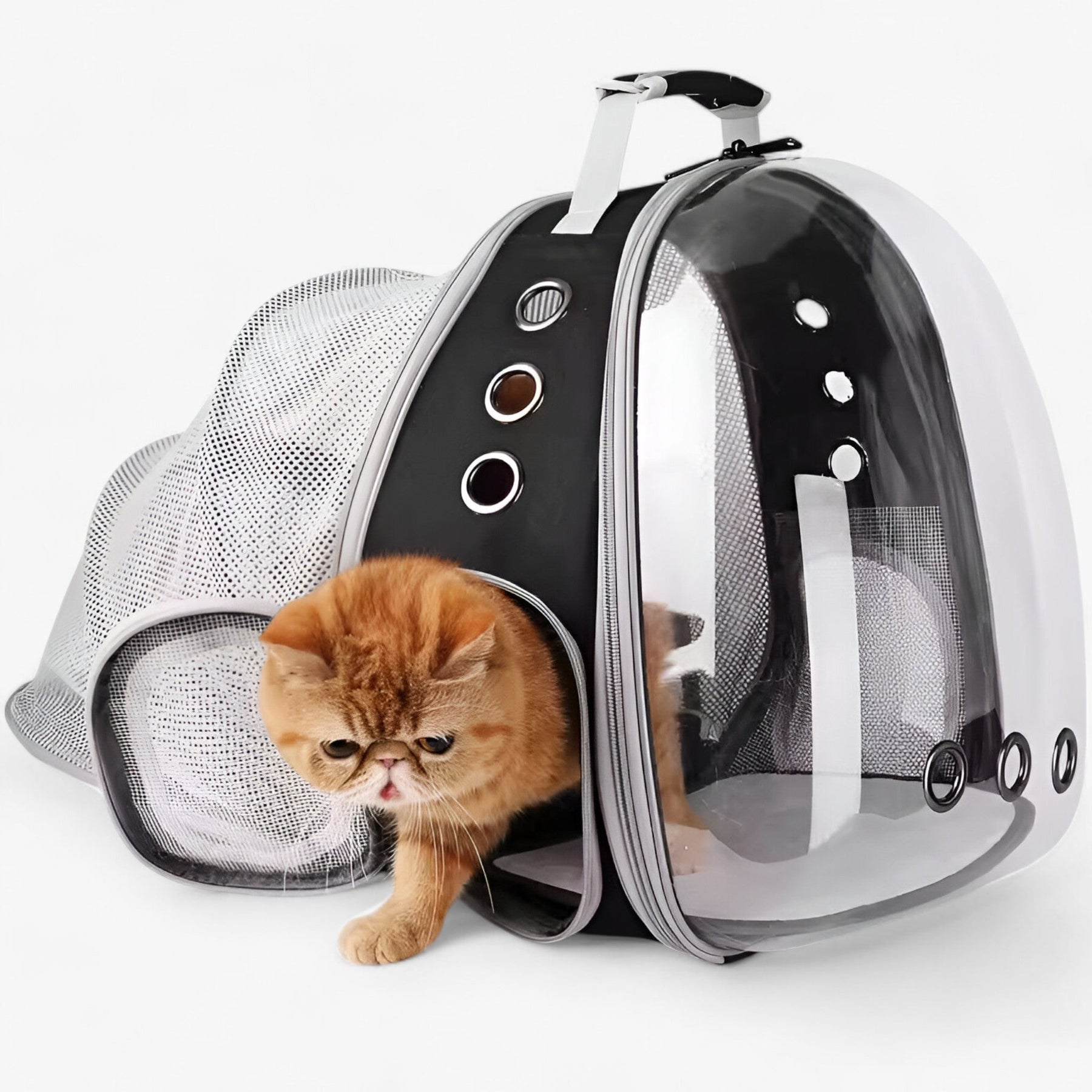pets : Ruimtelijke Kattenrugzak met Astronautenthema en Bolle Venster - Zwart in van Pantino