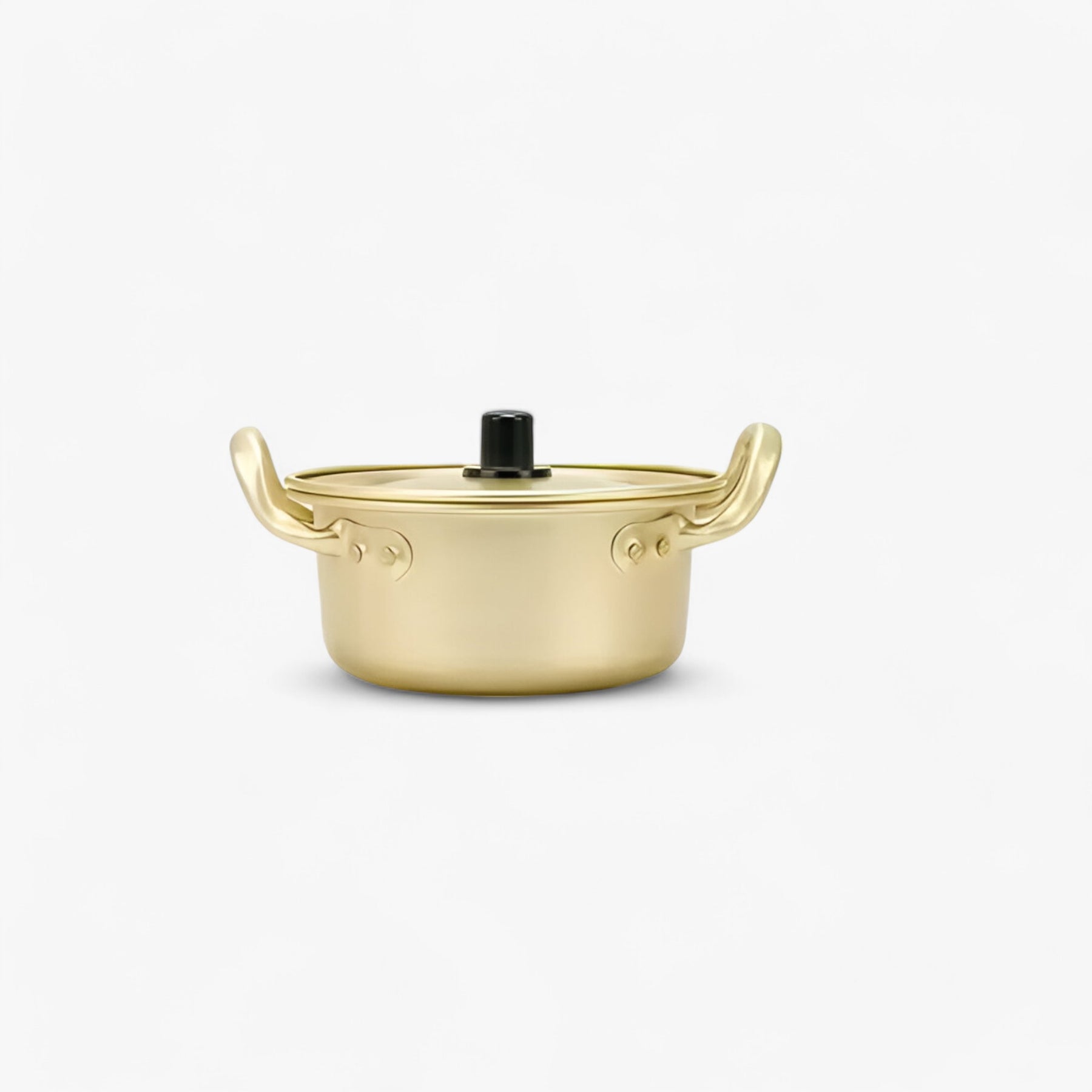 home & garden : Gouden Noodle Pot Aluminium in 14CM van Pantino