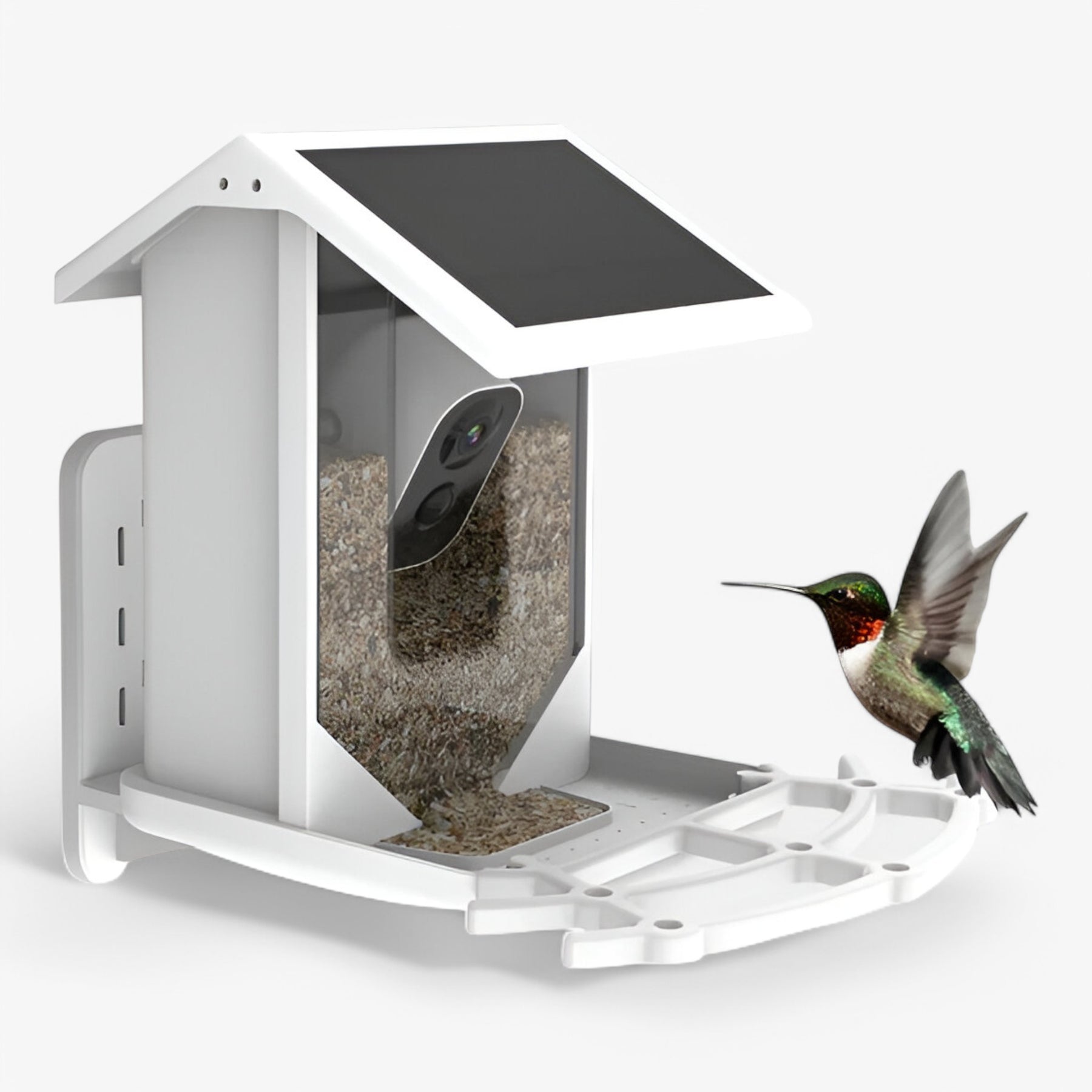 pets : Smart Bird Feeder - Dierenbenodigdheden in van Pantino