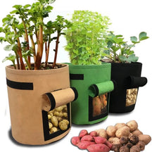 home & garden : Kweekpot Kunststof Bruin 10L voor Groenten, Kruiden & Moestuin - Ideaal voor Balkon in Bruin S van Pantino
