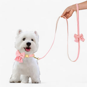 pets : Schattige Roze Halsband en Leash Set voor Kleine en Middelgrote Honden in van Pantino