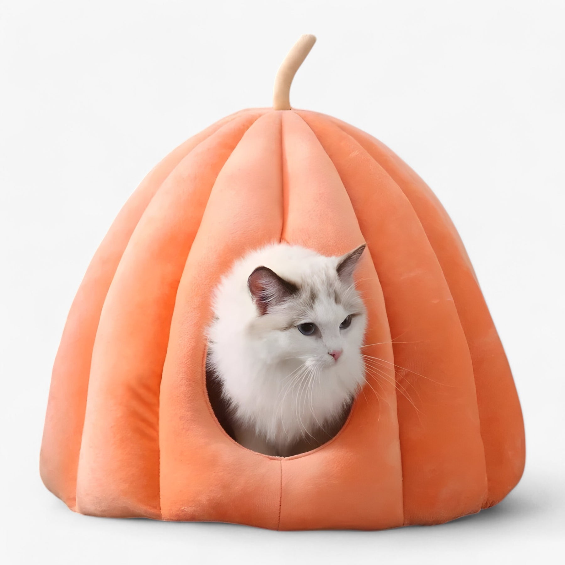pets : PumpkinNest - Huisdierenbed - Wintercomfort Fluweel in Oranje 50x50x40cm(onder 8kg 17.6lb) van Pantino