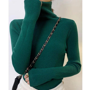 Sweater : Sweater Khaki - Helia Turtleneck with Cashmere in DARK GREEN One Size (40-60kg) van Pantino