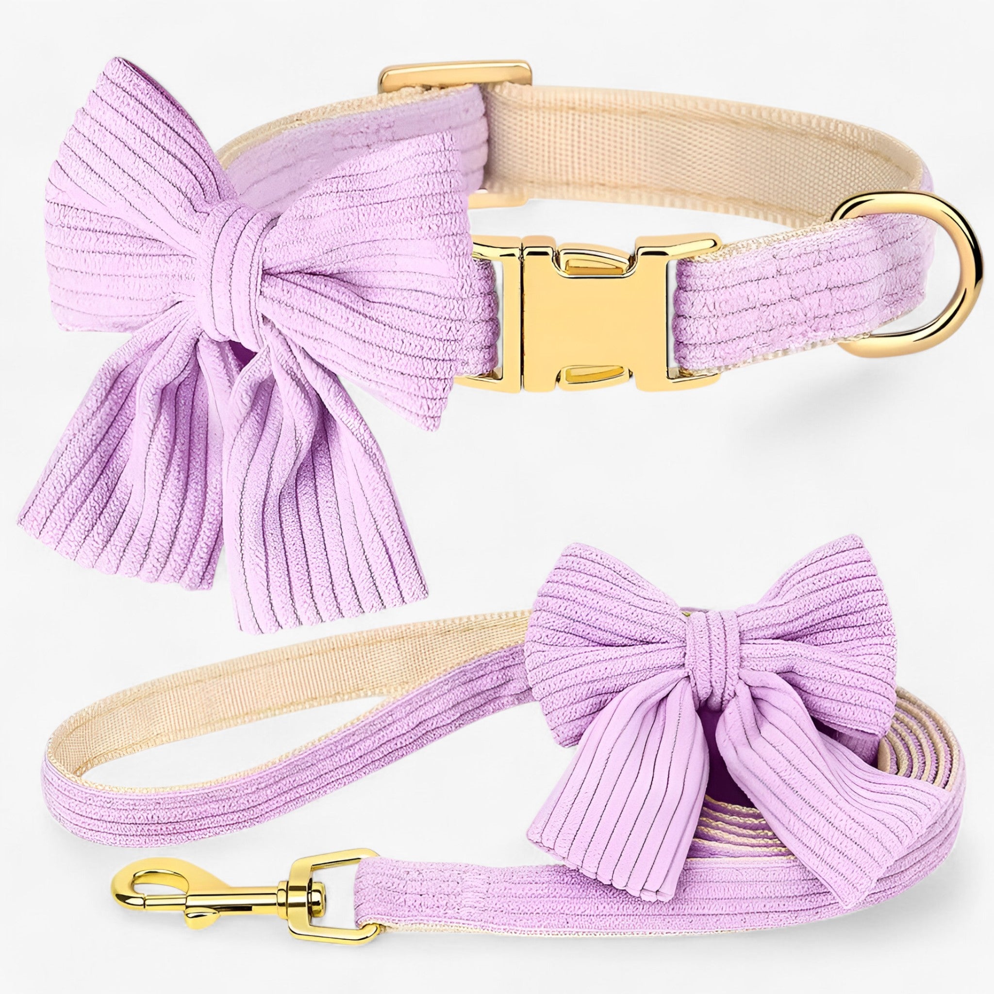 pets : Schattige Roze Halsband en Leash Set voor Kleine en Middelgrote Honden in Paars van Pantino