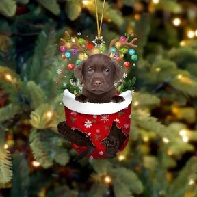 pets : Schattige Pupp Decoratie - Kerstboom Hangertje Hond - Feestelijke Charme en Cadeau voor Hondenliefhebbers in Stijl O van Pantino