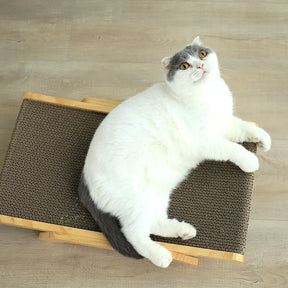 pets : Sisal Kraboppervlak Speelplezier - Sisal in van Pantino