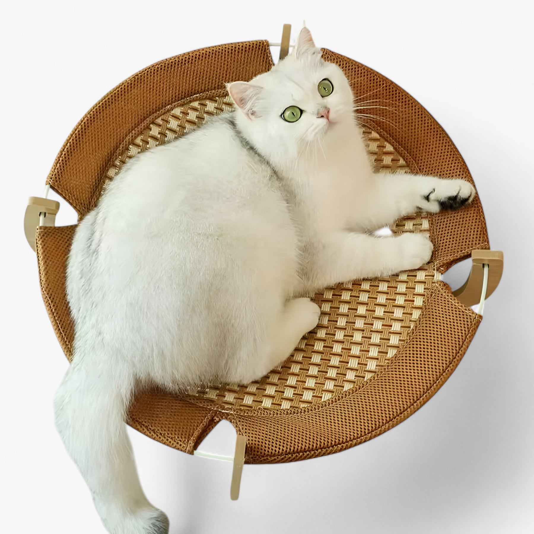 pets : Houten Kattenbed met Stevige Hangmat in van Pantino