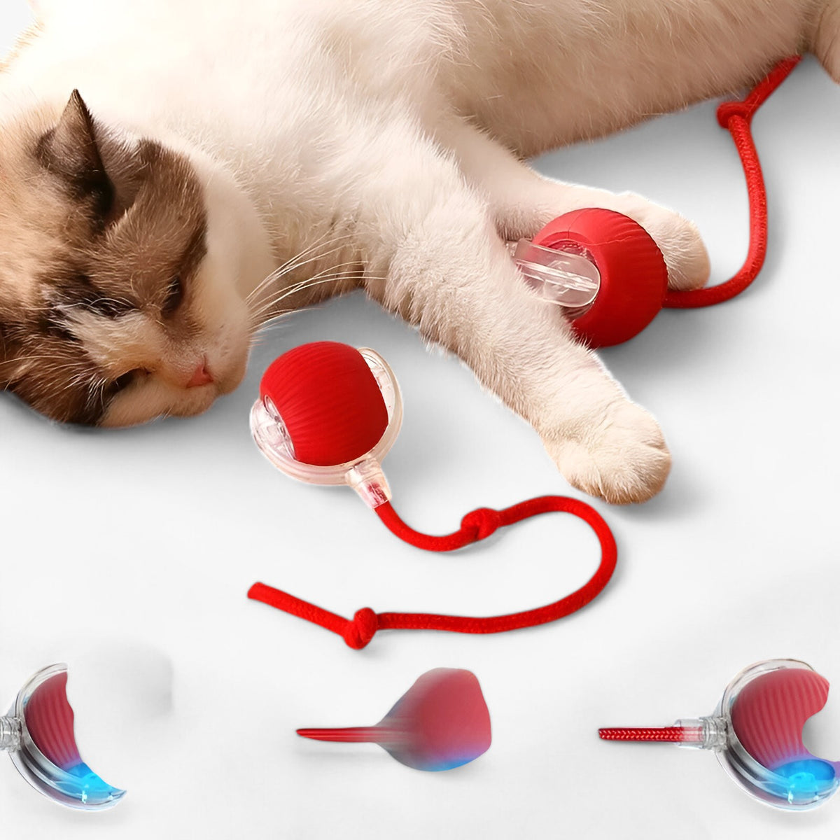pets : Slimme Speelbal voor Katten - Rood in van Pantino