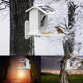 pets : Smart Bird Feeder - Dierenbenodigdheden in van Pantino