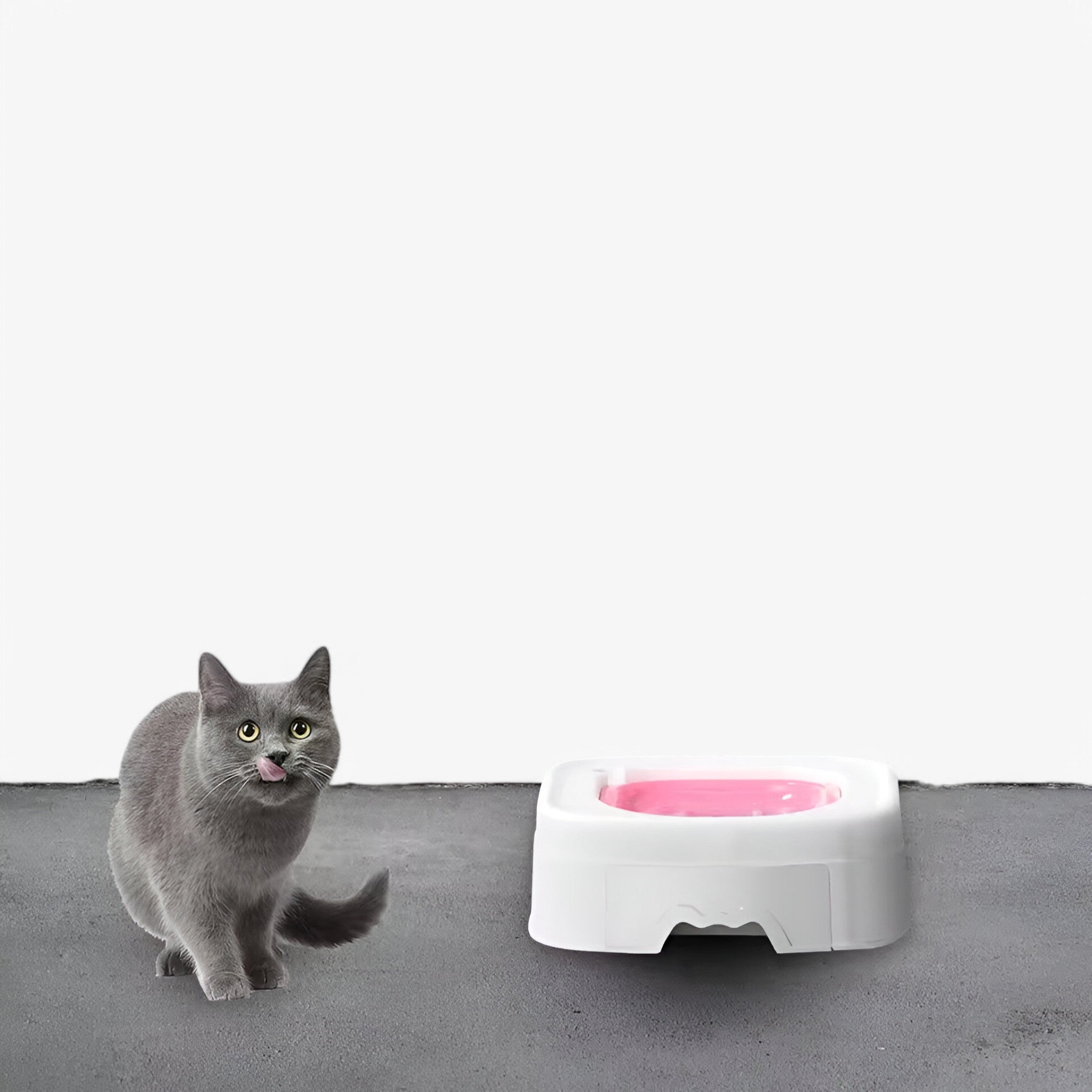 pets : Kat Toilettrainingsset - Grijs in van Pantino