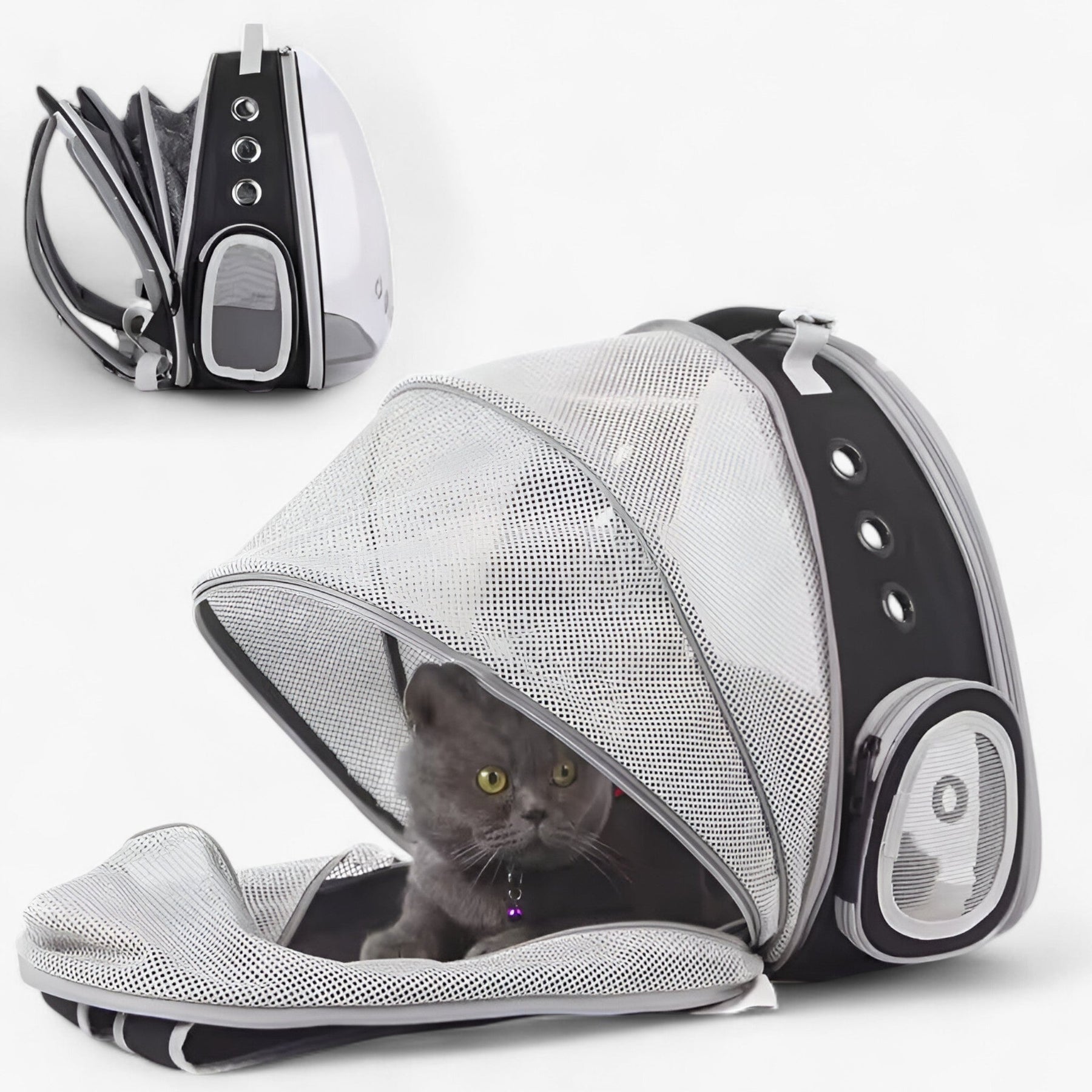 pets : Ruimtelijke Kattenrugzak met Astronautenthema en Bolle Venster - Zwart in van Pantino