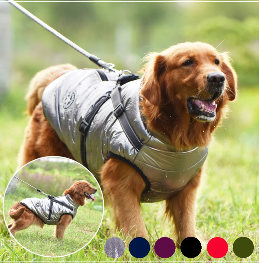 pets : Waterdichte Hondenjas - Extreem Waterbestendig Cute Design - Nylon in van Pantino