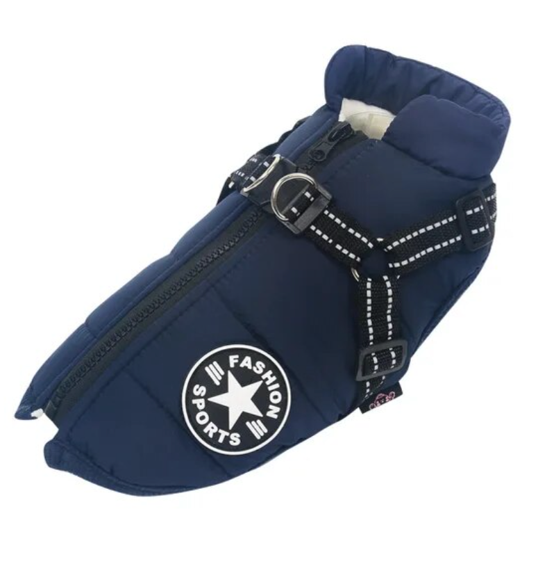 pets : Waterdichte Hondenjas - Extreem Waterbestendig Cute Design - Nylon in Blauw van Pantino