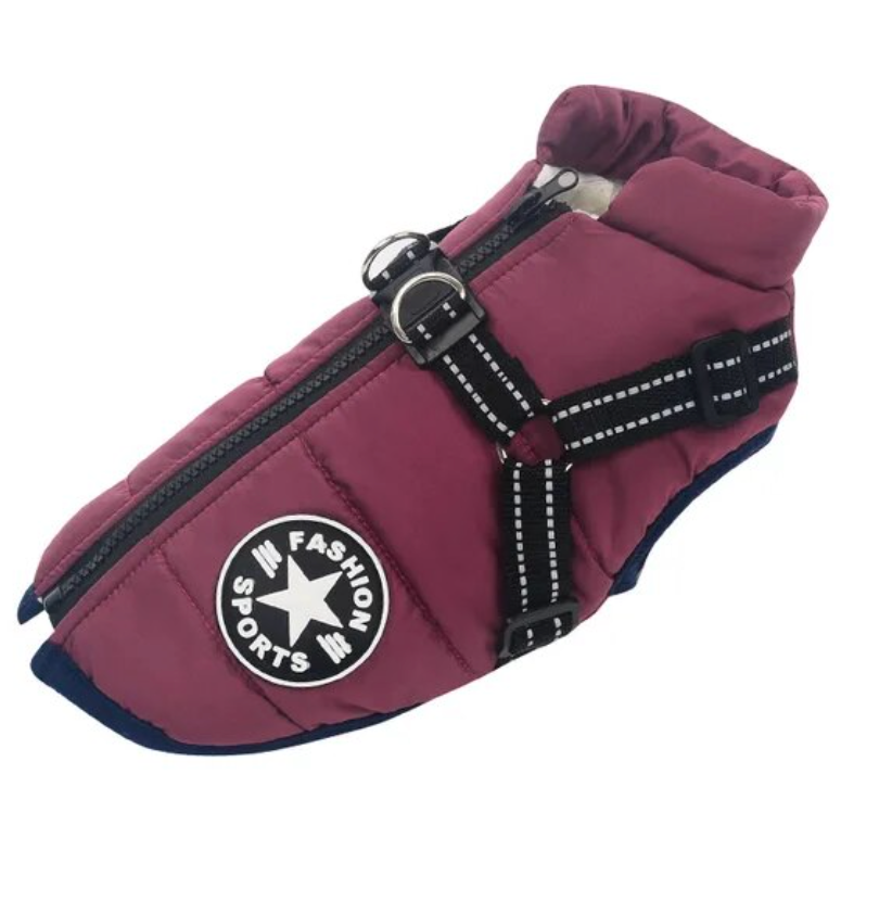 pets : Waterdichte Hondenjas - Extreem Waterbestendig Cute Design - Nylon in Violet van Pantino