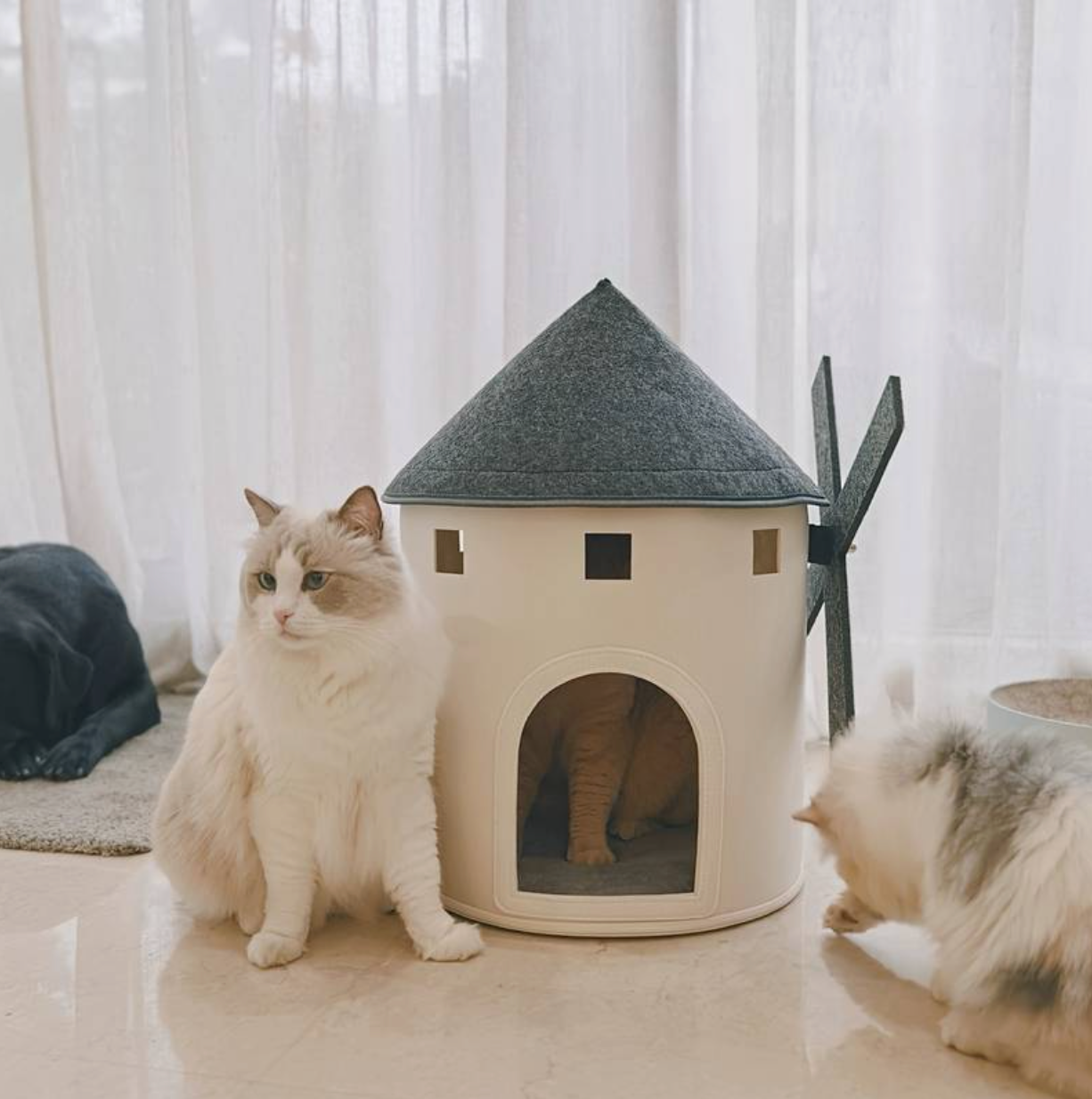 pets : De Katten Windmolen - Dierenbenodigdheden in van Pantino