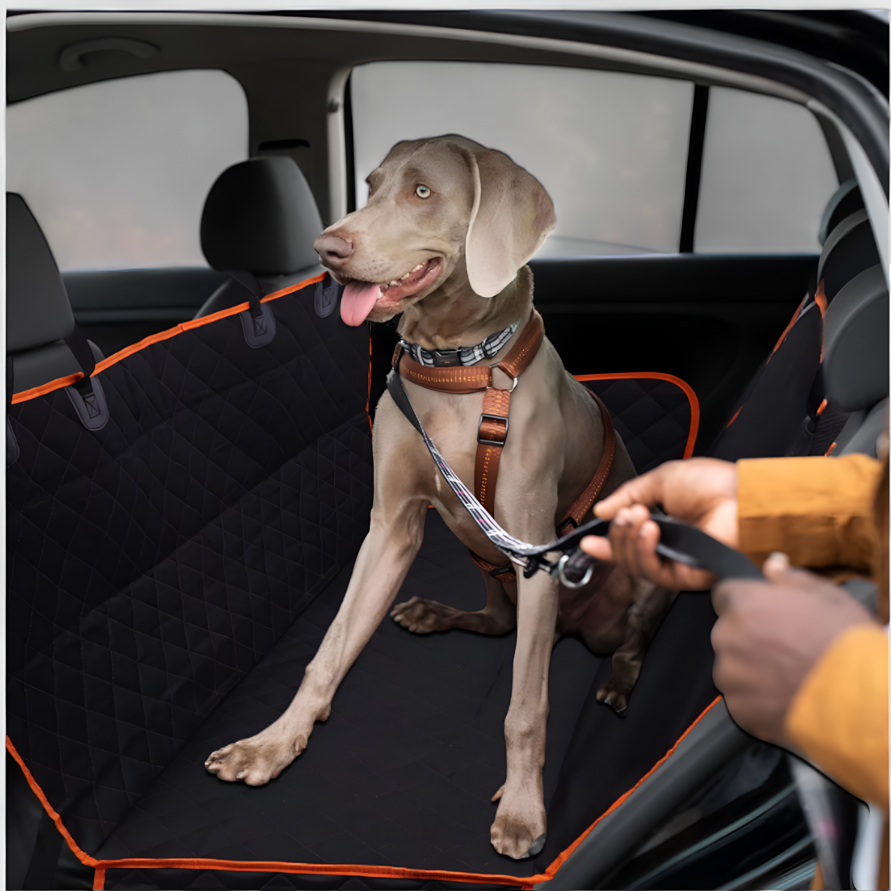 pets : Autositzerweiterung voor Hunde - Komfortabel en Sicher Auf Reisen voor Deinen Hund in van Pantino