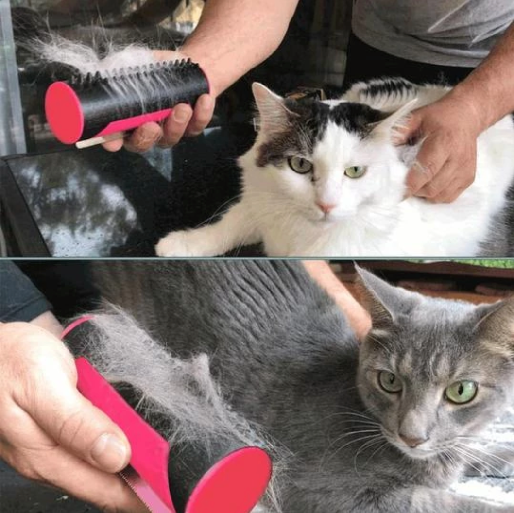 pets : Multifunctionele 3-in-1 Huisdierenhaarborstel Honden Katten in van Pantino