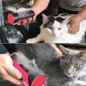 pets : Multifunctionele 3-in-1 Huisdierenhaarborstel Honden Katten in van Pantino