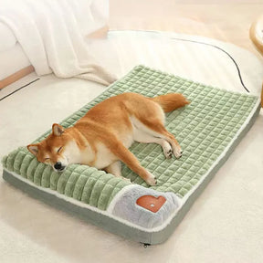 pets : ComfyPet - Gun Je Huisdier het Beste - Groen in van Pantino