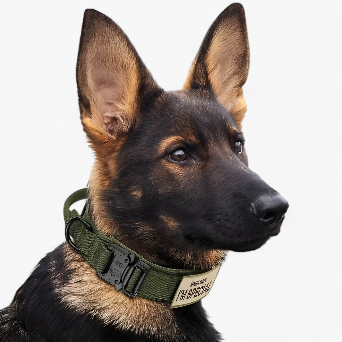 pets : Tactisch Hondenhalsband met Handvat voor Training - Bruin Set in van Pantino