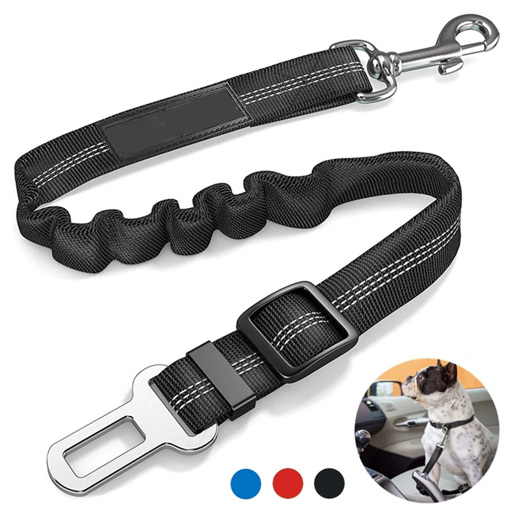 pets : PetGuard Belt - Reis Veilig met Jouw Hond - Zwart in van Pantino
