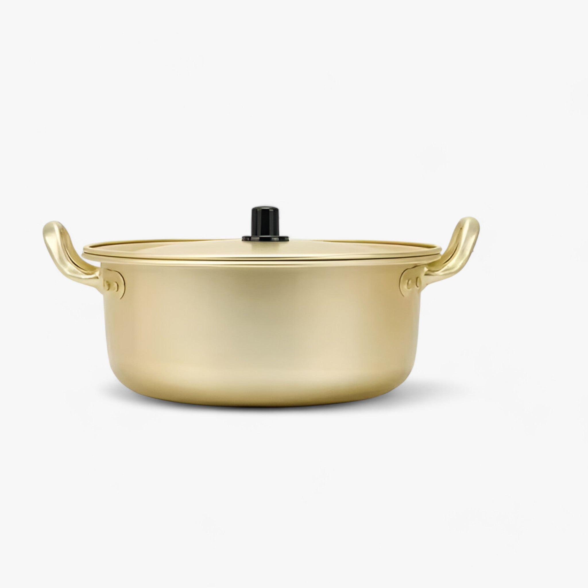 home & garden : Gouden Noodle Pot Aluminium in 22CM van Pantino