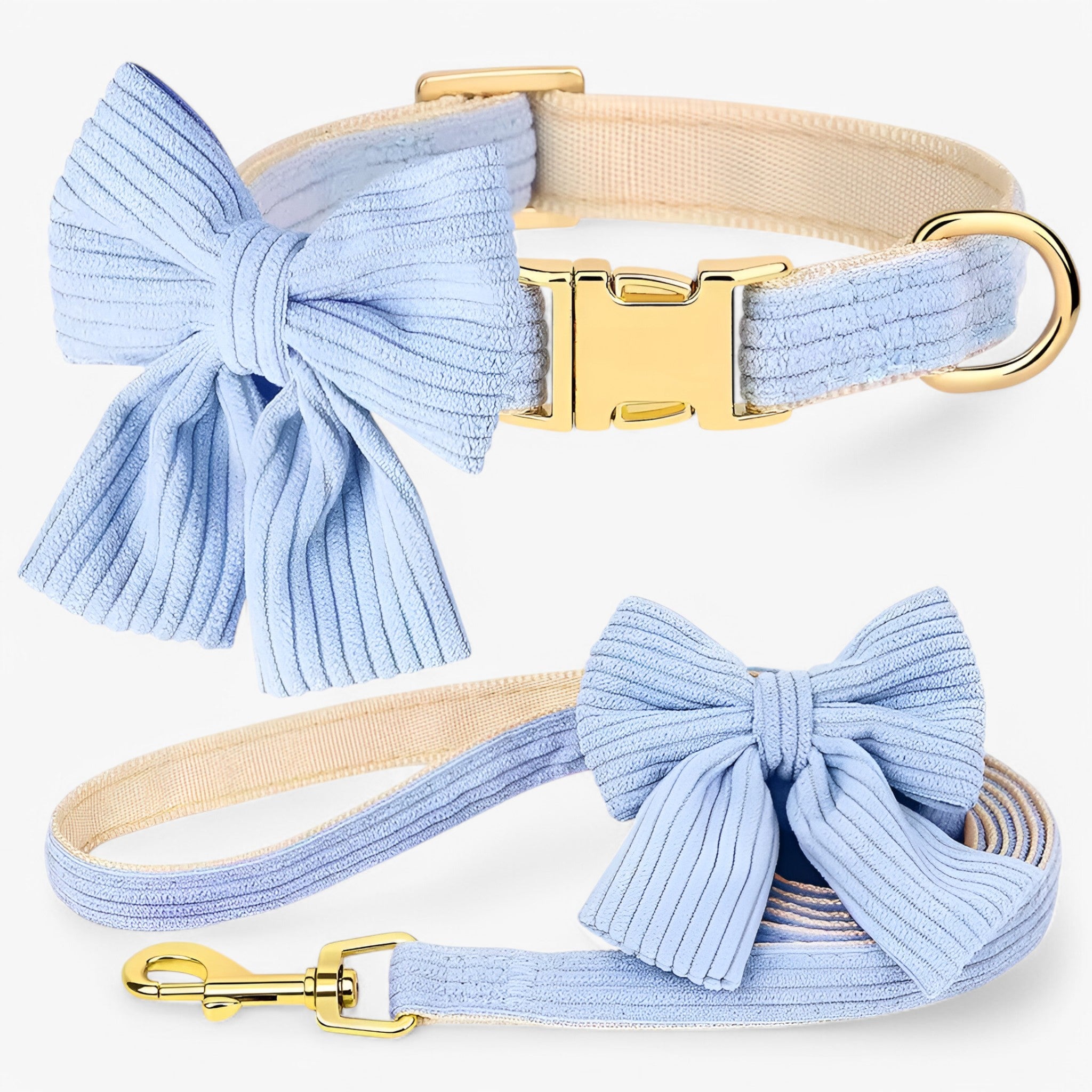 pets : Schattige Roze Halsband en Leash Set voor Kleine en Middelgrote Honden in Blauw van Pantino