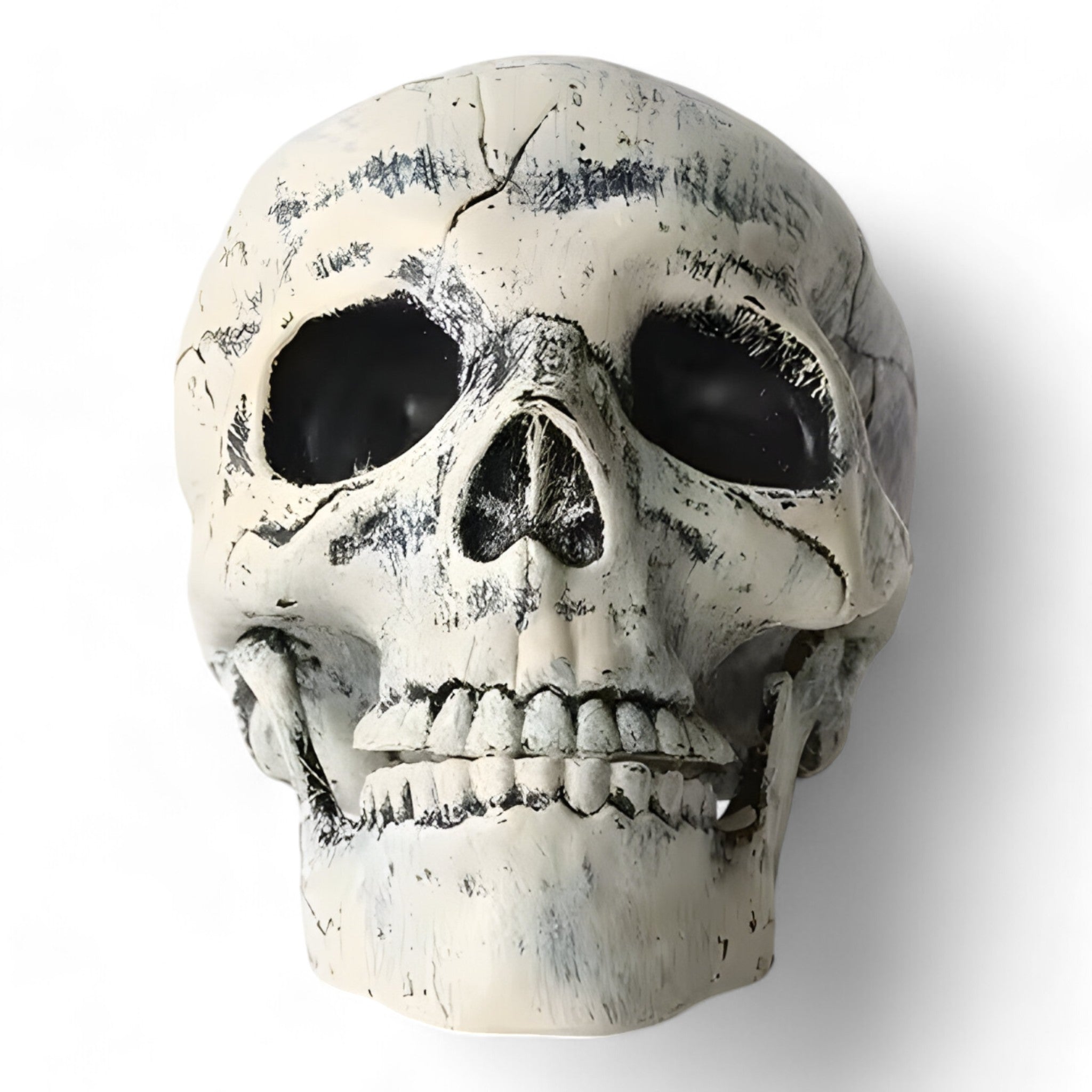 home & garden : Fantomische Halloween Decoratie - Plastic Skelet en Skull Ornamenten in Schedel van Pantino