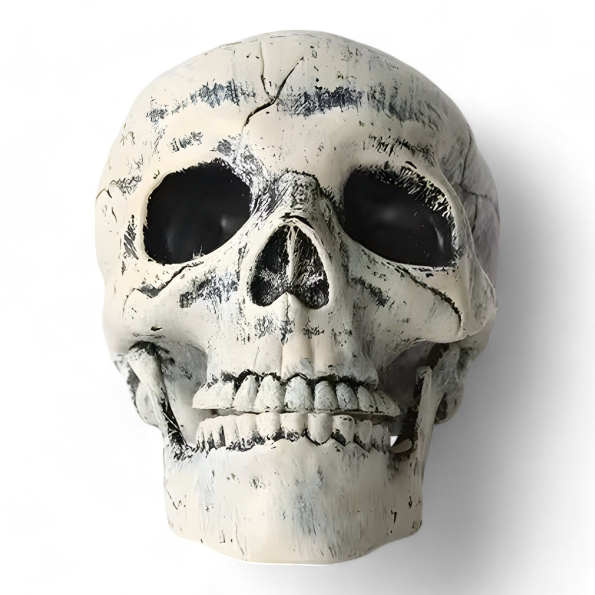 home & garden : Fantomische Halloween Decoratie - Plastic Skelet en Skull Ornamenten in Schedel van Pantino