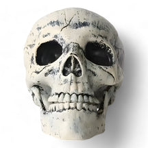 home & garden : Fantomische Halloween Decoratie - Plastic Skelet en Skull Ornamenten in Schedel van Pantino