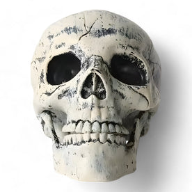 halloween decor : Fantomische Halloween Decoratie - Plastic Skelet en Skull Ornamenten in Schedel van Pantinoshop