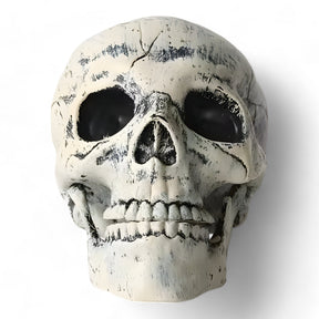 home & garden : Fantomische Halloween Decoratie - Plastic Skelet en Skull Ornamenten in Schedel van Pantino